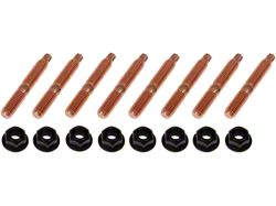 Exhaust Manifold Hardware Kit; M8-1.25mm
(97-08 4.6L F-150; 97-03 5.4L F-150; 09-10 4.6L 2V F-150)Find parts that fit my vehicle