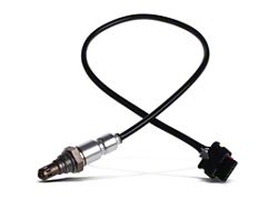 Flowtech O2 Sensor Bung; Weld-In Style(Universal; Some Adaptation May Be Required)