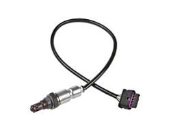 O2 Oxygen Sensor; Downstream(18-20 5.0L F-150)Find parts that fit my vehicle