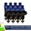 Fuel Injector Clinic High Impedance Fuel Injectors; 1000cc
(10-14 F-150 Raptor)Find parts that fit my vehicle