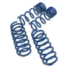 Ground Force 2-Inch Front Lowering Coil Springs (97-03 2WD F-150)