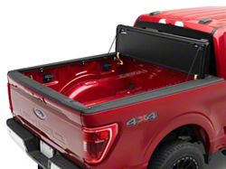Fuel Injector Clinic High Impedance Fuel Injectors; 445cc
(99-03 F-150 Lightning; 04-17 V8 F-150)Find parts that fit my vehicle