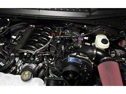 Procharger High Output Intercooled Supercharger Complete Kit with P-1X; Black Finish
(24-26 5.0L F-150)Find parts that fit my vehicle