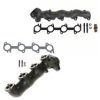 Vibrant Performance O-Ring for Oil Flanges; -025